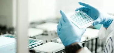 生物技術(shù)賦能化妝品植物原料開(kāi)發(fā) 開(kāi)啟綠色美容新紀(jì)元