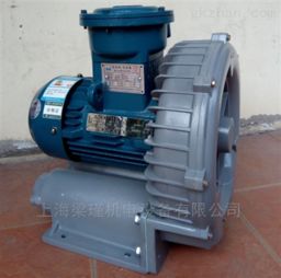 ex g 20 化工設(shè)備專(zhuān)用高壓防爆鼓風(fēng)機(jī)